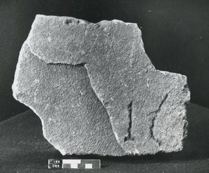 Századi kő (kő) alkotó: Roman Roman