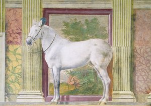 A lovak csarnoka, egy szürke ló portréja a mantovai Ludovico Gonzaga III istállójából