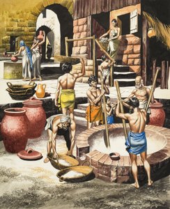 Élet az Indus-völgyben Kr.e. 2500 és Kr.e. 1600 között (gouache, papír) alkotó: Ron Embleton