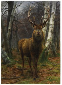 Az erdő királya, 1878