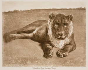 Oroszlán alkotó: Rosa Bonheur