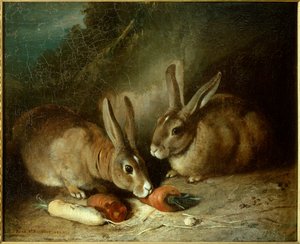 Nyulak. Rosa Bonheur (1822-1899) festménye