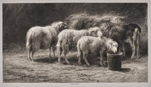 Juhakol alkotó: Rosa Bonheur