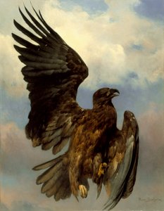 A sebesült sas, 1870 körül