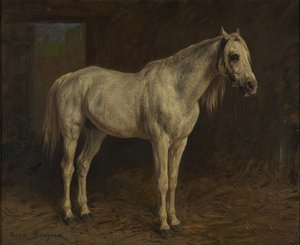 Fehér ló alkotó: Rosa Bonheur
