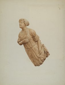 "Rajna" figura
