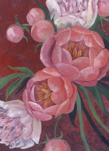 Elegáns rózsaszín pünkösdi rózsák alkotó: Rosana Laiz Blursbyai