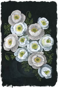 Elegáns fehér pipacsok alkotó: Rosana Laiz Blursbyai