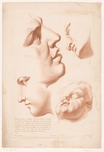 Férfi, nő és gyermek feje A természetből való rajzolás elvei, második rész (sorozat címe) IIe Cahier de Principes du Design d