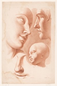 Nő, férfi és gyermek feje A természetből való rajzolás elvei, második rész (sorozat címe) IIe Cahier de Principes du Design d