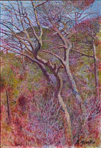 Táj, Stúdió, 1907 körül alkotó: Rubaldo Merello