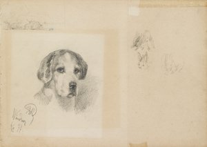 Kutyaportré: Windsor, 1877 alkotó: Rudolf Wimmer