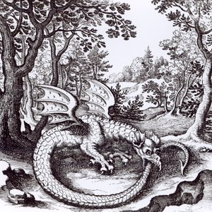 Sárkány az erdőben, Basil Valentine "Musaeum Hermeticum Reformatum" című művéből, 1678 alkotó: Russian School