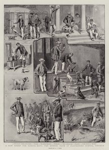 Egy új hobbi iskolás fiúknak, a Kennel Club a Clayesmore Schoolban, Enfieldben