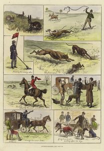 Pályafutási mérkőzések alkotó: S.T. Dadd