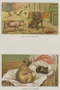 Humoros kutyák (chromolitho)