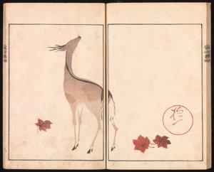 Ōson (Hōitsu) képalbum (Ōson gafu) alkotó: Sakai Hoitsu