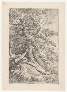 Malevali Szent Vilmos alkotó: Salvator Rosa