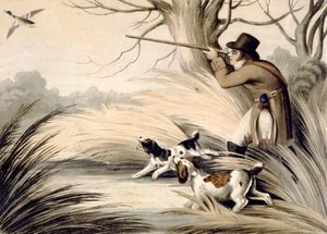 Lövőkacsa, metszett H. Merke, 1809 körül (színes litó)