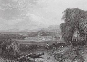 Ausztrália: Cove, Tasmania (metszet) alkotó: Samuel (after) Prout