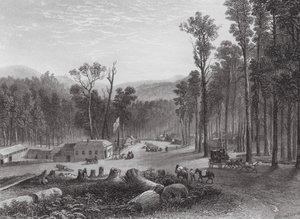 Ausztrália: Marysville, Victory (metszet)