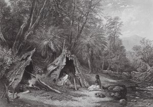 Ausztrália: (metszet) alkotó: Samuel (after) Prout