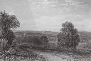 Ausztrália: Melbourne közelében (metszet). alkotó: Samuel (after) Prout