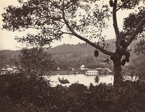 Egy kukucskáló az Upper Lake Roadról, amely a templomot és a szigetet mutatja a parkkal - gyümölcsfa az előtérben, 1865. alkotó: Samuel Bourne