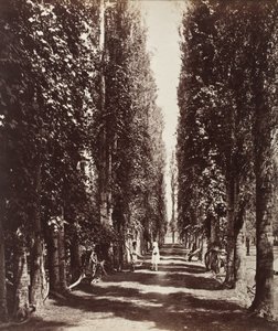  alkotó: Samuel Bourne