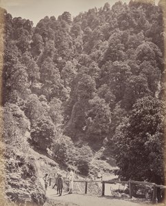 Simla. Kilátás északra a Jakko-hegyre alkotó: Samuel Bourne