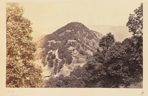 Simla; Elysium Hill alkotó: Samuel Bourne