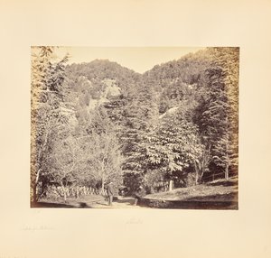 Simla; Jakko, a "Oakover"-ből (általános nézet a Tonga útról) alkotó: Samuel Bourne