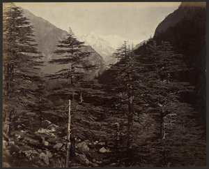Havas csúcsok Gangotri közelében, Bhairamghatiból alkotó: Samuel Bourne