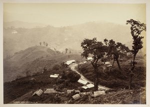 Teendari Bazár, Darjeeling,  a "Views of Darjeeling"-ből,  1860-1880    (f/w fotó) alkotó: Samuel Bourne