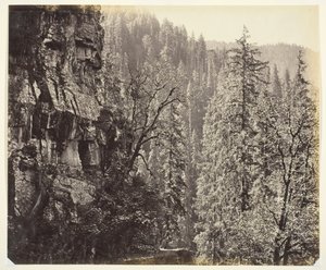 Untitled [sziklák és fák], c. 1865. alkotó: Samuel Bourne