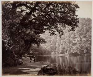 Cím nélkül [fák a víz közelében, India], 1870-es évek. alkotó: Samuel Bourne