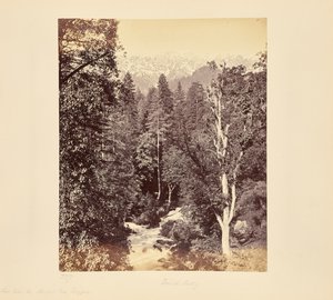  alkotó: Samuel Bourne