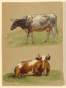 Rajz, Szarvasmarha, egy tehén sétál és egy tehén guggol, 1875-80 alkotó: Samuel Colman