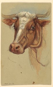 Rajz, Vázlatok Narragansettből, Rhode Island, 1871 alkotó: Samuel Colman