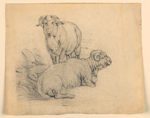 Rajz, tanulmány. Két kos., 1850 körül alkotó: Samuel Colman