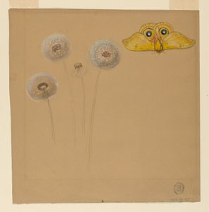 Rajz, Tanulmány fehér margaréta, kamillaszár két szirommal és egy kamillaszirom szirom, 1875-90 alkotó: Samuel Colman