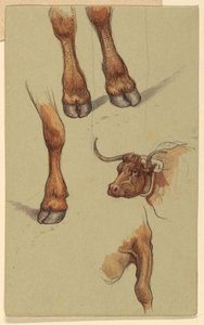 Vázlatok a Rhode Island-i Narragansettből. alkotó: Samuel Colman