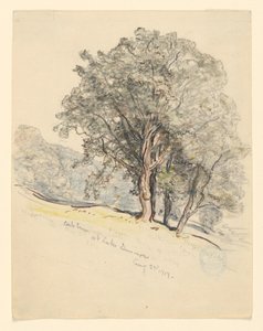 Tölgyfák tanulmányozása a Dunmore-tónál, Vermont alkotó: Samuel Colman