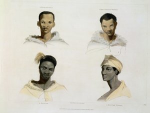 Egy hottentotta, egy hottentotta nő, egy kaffre, egy kaffre nő: négy fej- és vállmatrica, 14-es tábla az „Afrikai tájak és állatok”-ból, a művész által metszett, 1804 (akvatinta)