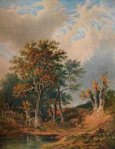 Táj, 1847 alkotó: Samuel David Colkett