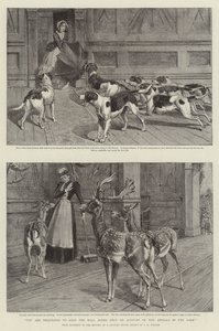 Kérjük, tartsa zárva a terem ajtóit a parkban élő állatok miatt (litho) alkotó: Samuel Edmund (after) Waller
