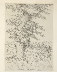 Hozzáadás. MS 15546 Am Elm Tree, Bedminster alkotó: Samuel Hieronymous Grimm