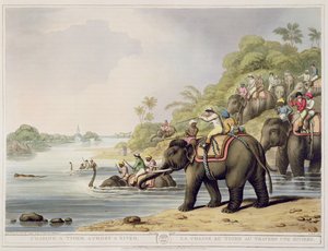 Egy tigris üldözése a folyón át, a Keleti terepsportokból, kiadó: Edward Orme, 1807 (nyomtatás)