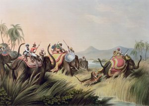 The Tiger At Bay, az Oriental Field Sports, pub. Edward Orme, 1807 (nyomtatott)