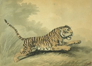 Egy tigris jobbra ugrik, 1807